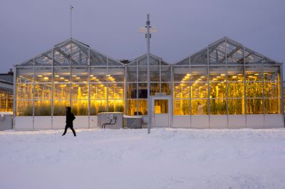 Greenhouse Construction